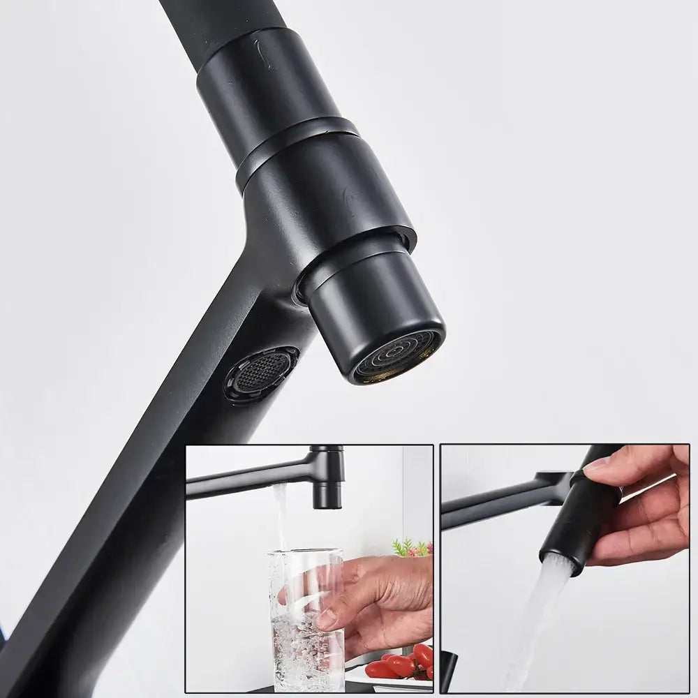 Black Gooseneck Kitchen Faucet