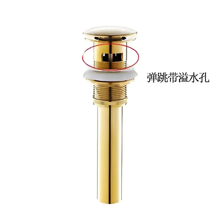 Brushed Gold Drain Assembly