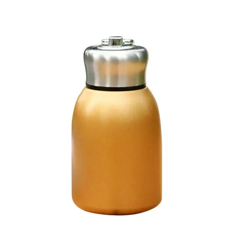 Pastel Stainless Steel Flask