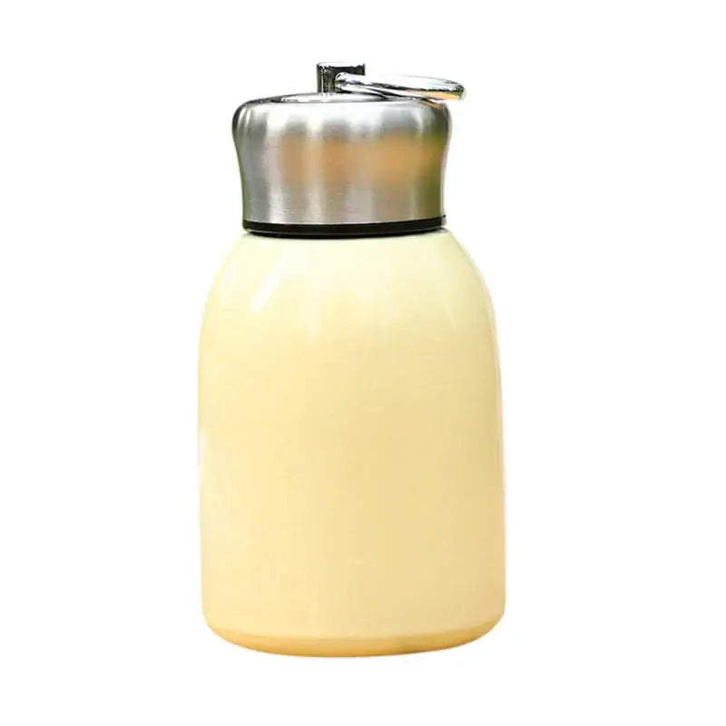 Pastel Stainless Steel Flask
