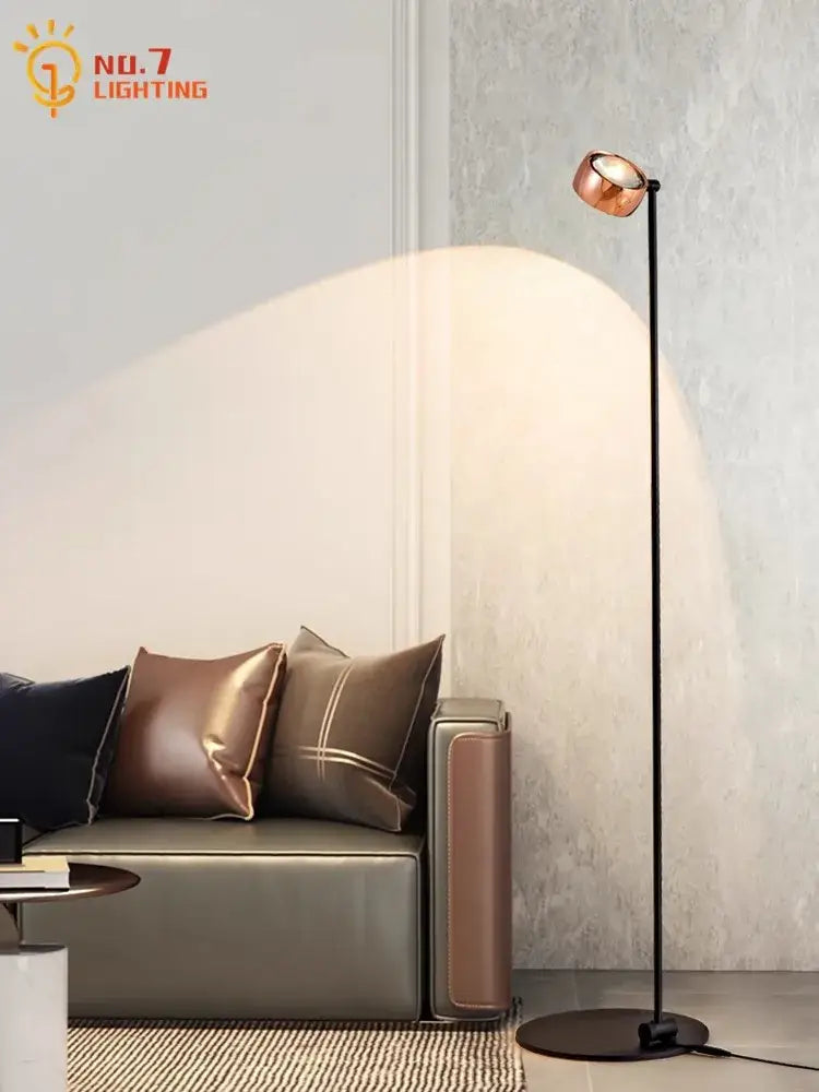 Black Induction Floor Lamp