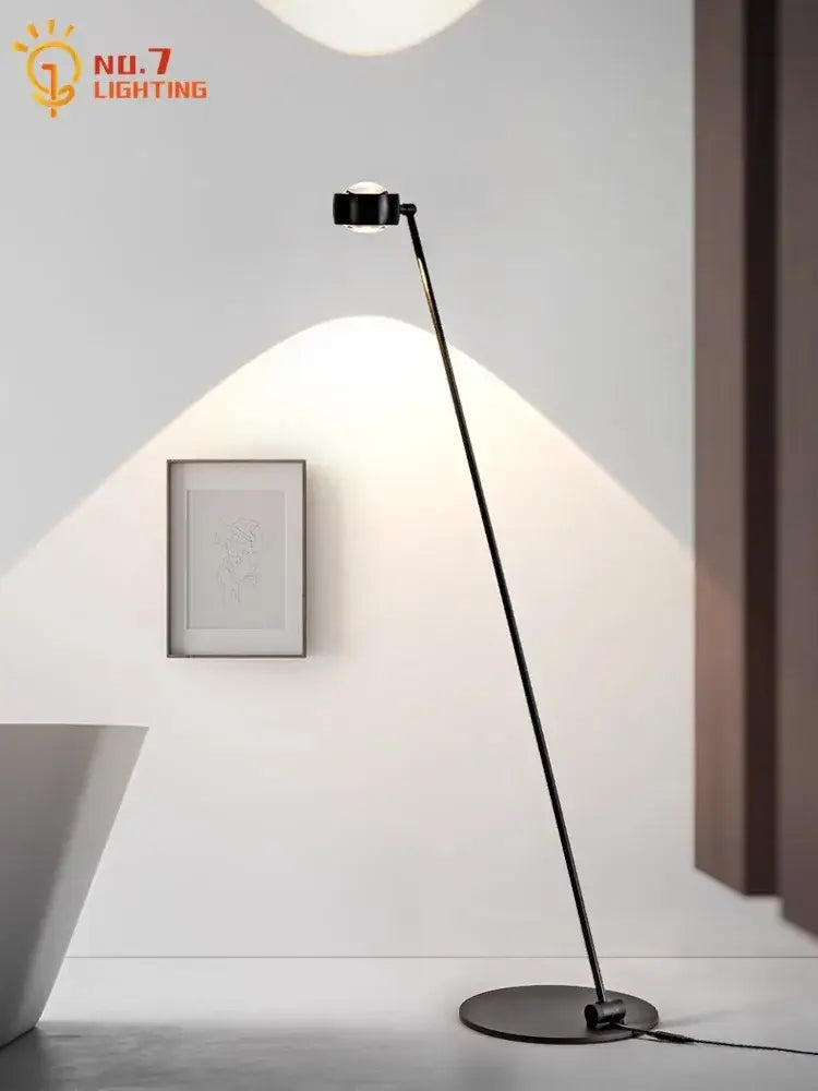 Black Induction Floor Lamp