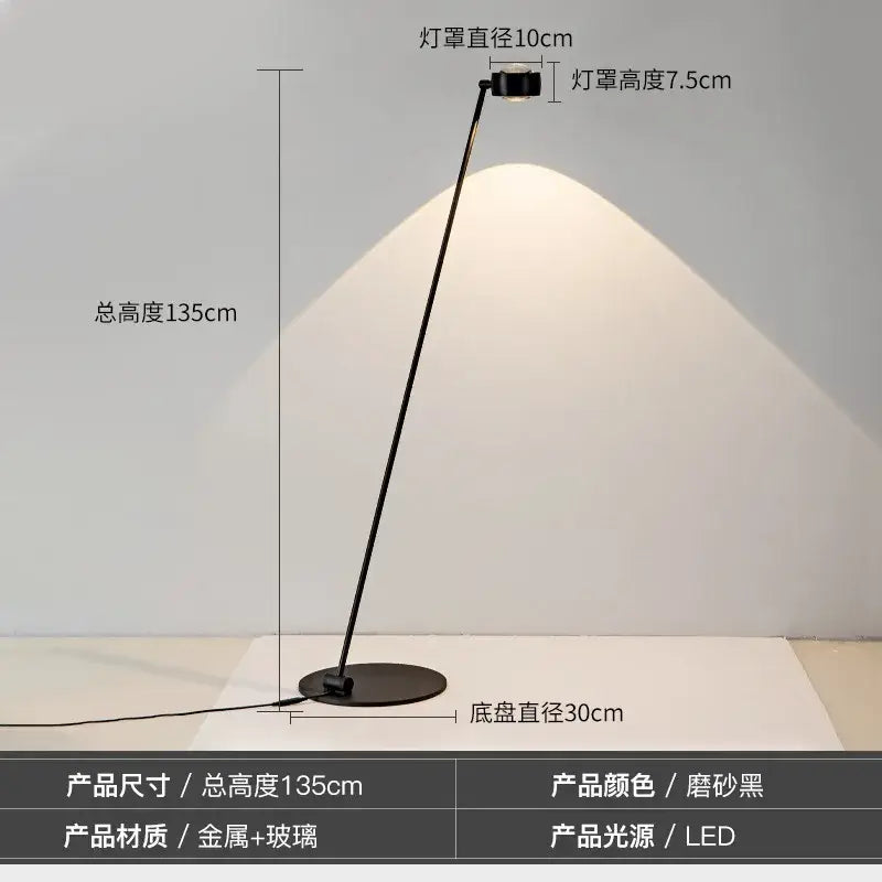 Black Induction Floor Lamp