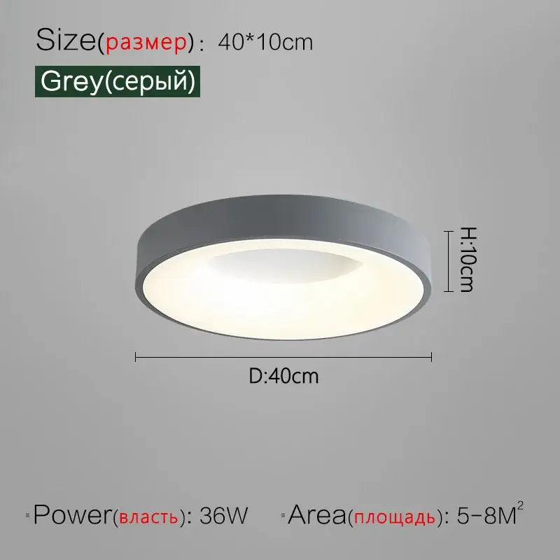 Gray Round Ceiling Lamp