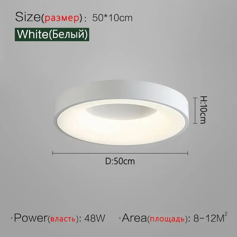 Gray Round Ceiling Lamp