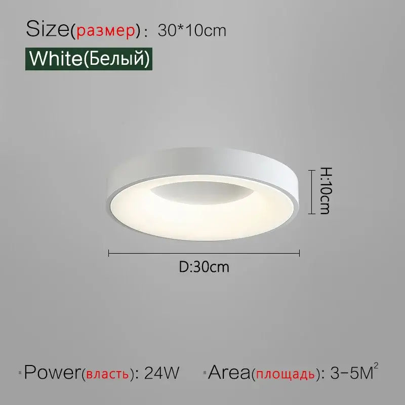 Gray Round Ceiling Lamp