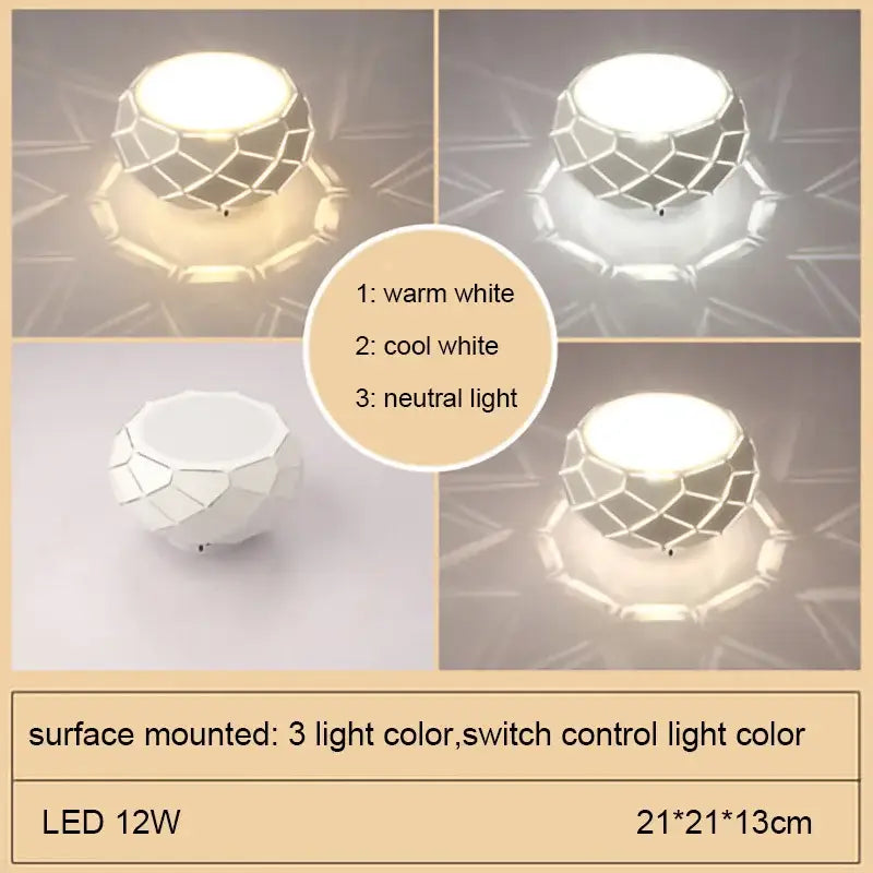Metal Dimmable Ceiling Light