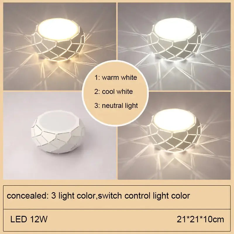 Metal Dimmable Ceiling Light