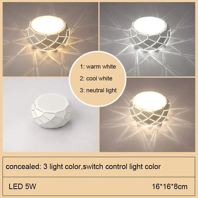 Metal Dimmable Ceiling Light