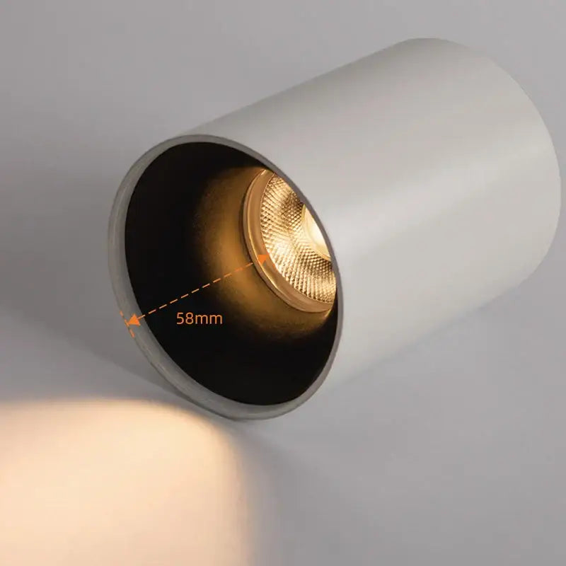 White Black LED Ceiling Light