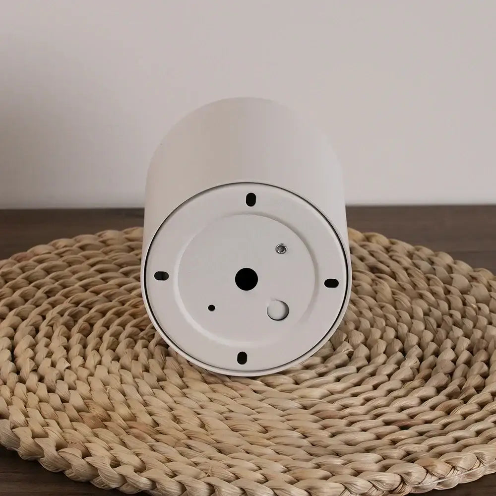 White Black LED Ceiling Light