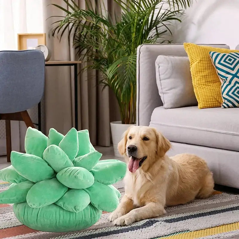 Mint Succulent Cactus Pillow