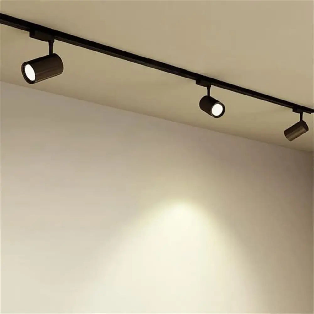 Black White Track Light