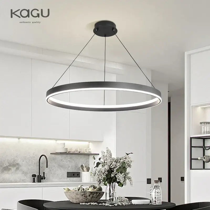 Black Artistic Chandelier