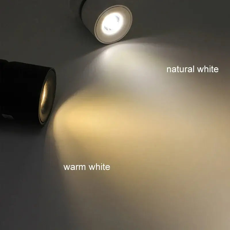 Black Adjustable LED Downlight for Living Rooms