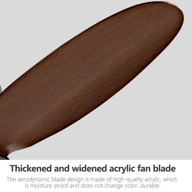 Black Brown Ceiling Fan
