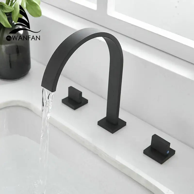 Black Brass Double Faucet