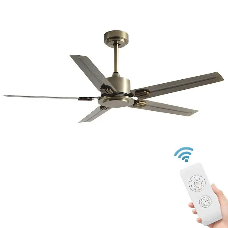 Black DC Motor Fan