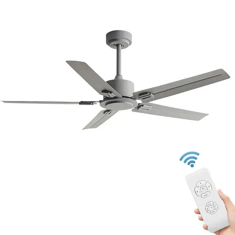Black DC Motor Fan