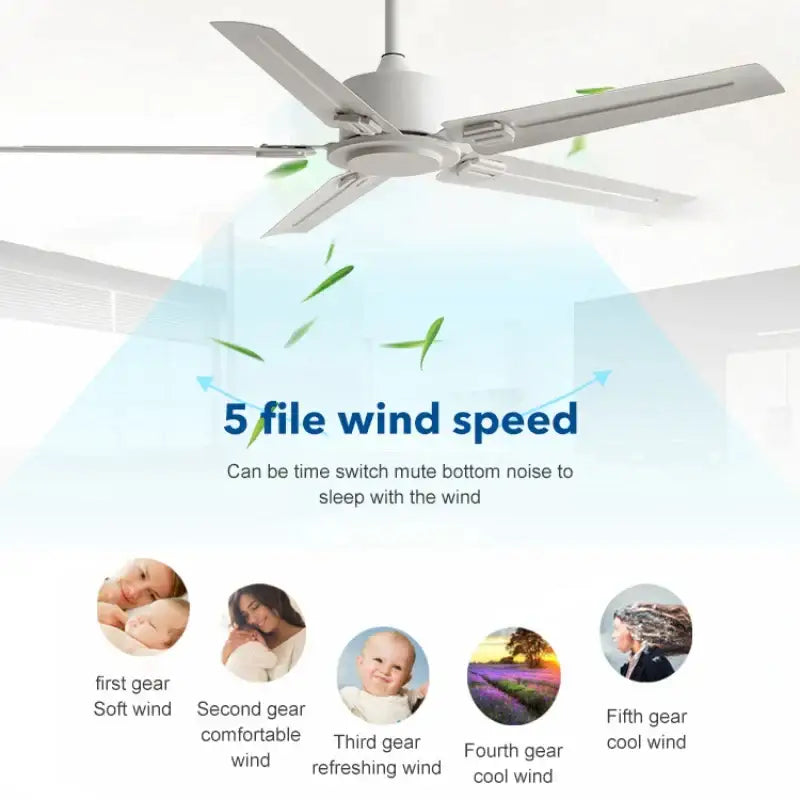 Black DC Motor Fan