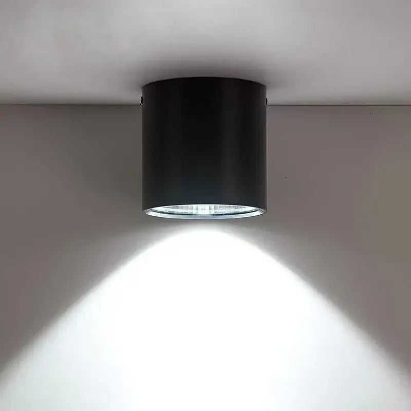 Black Pendant Ceiling Spotlight