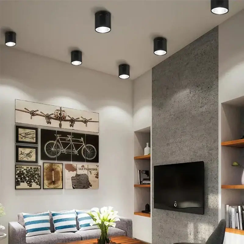 Black Pendant Ceiling Spotlight