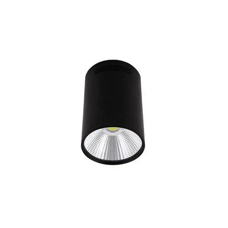 Black Pendant Ceiling Spotlight