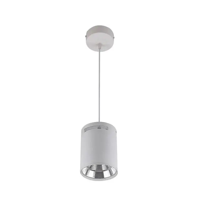 Black Pendant Ceiling Spotlight