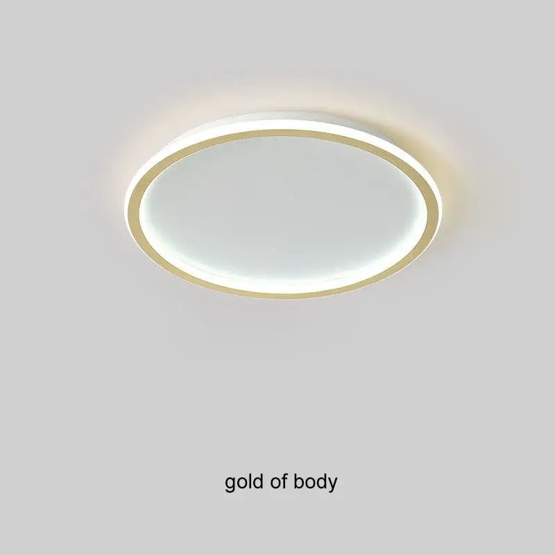 Black Ring Ceiling Light