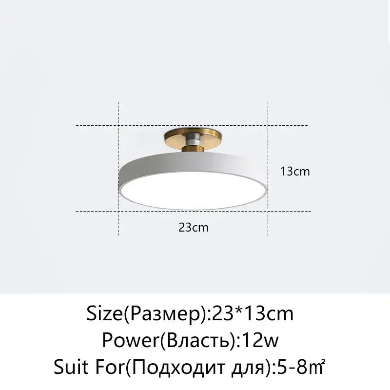Black Circular Ceiling Light