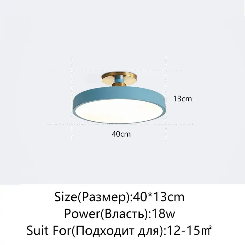 Black Circular Ceiling Light