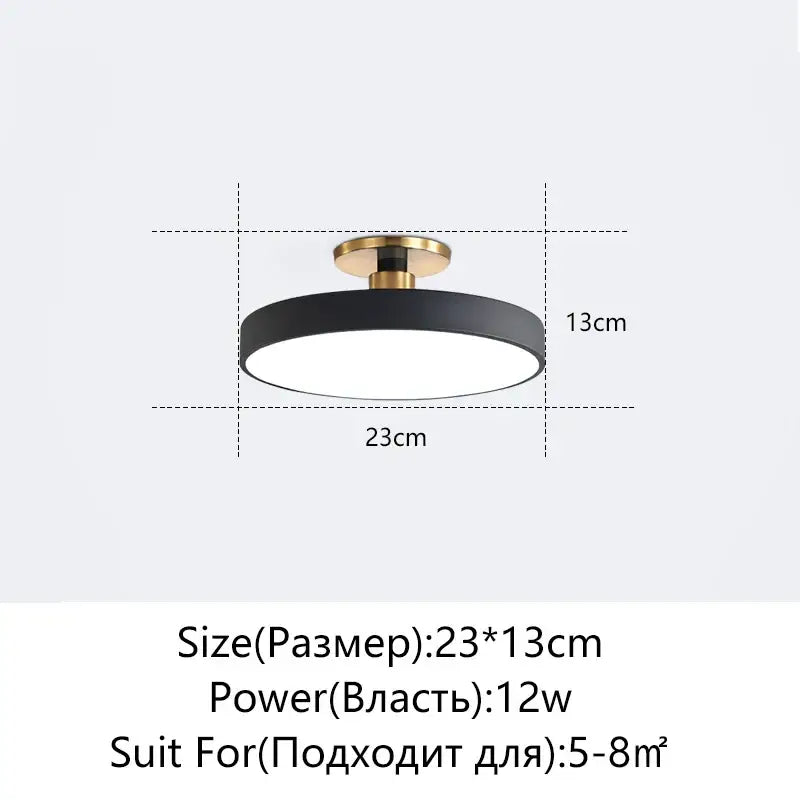 Black Circular Ceiling Light