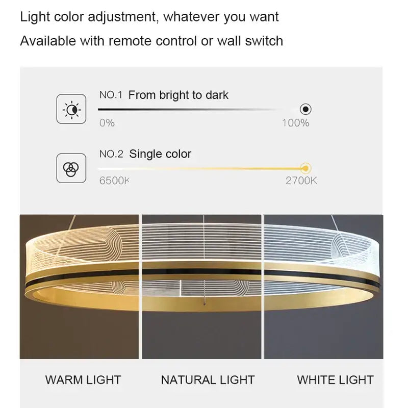 Black Gold Mesh Pendant Light