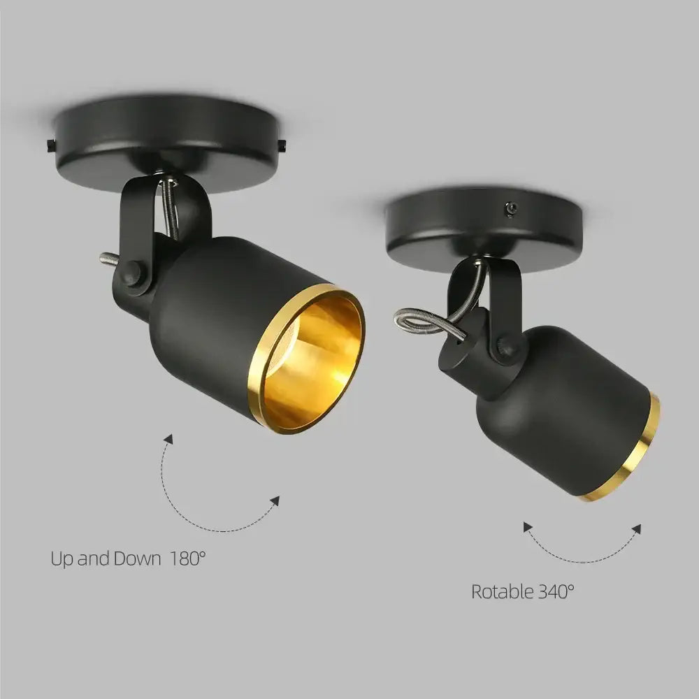 Black Gold Ceiling Spotlight