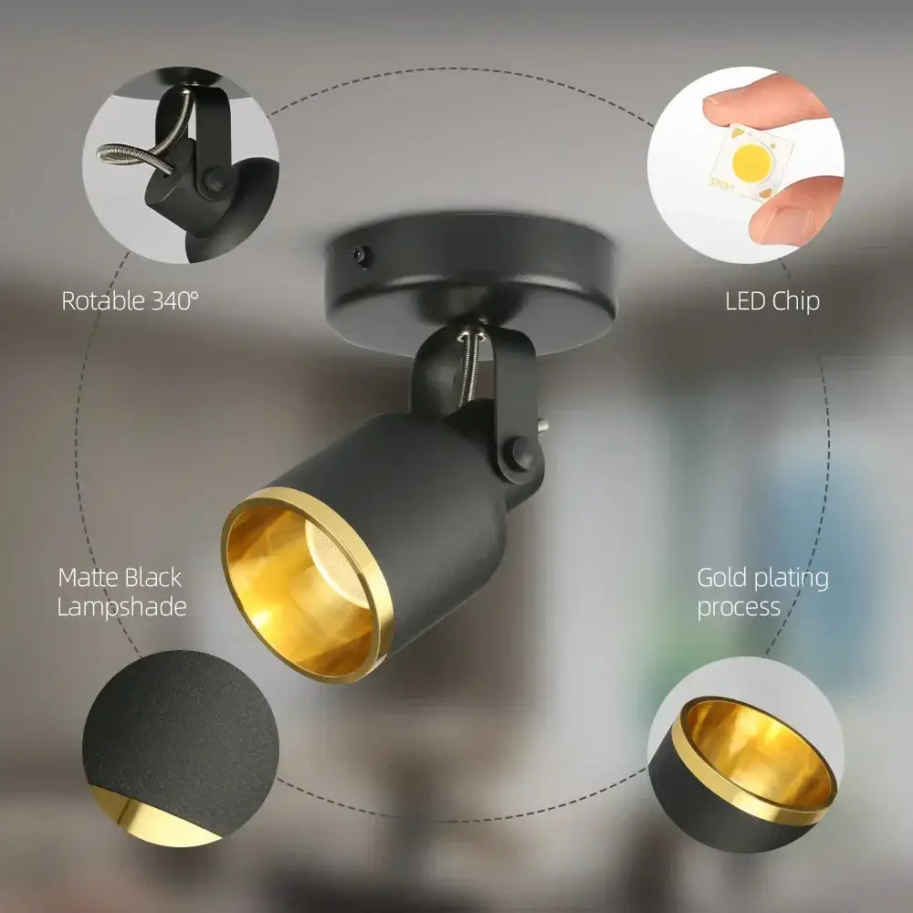 Black Gold Ceiling Spotlight