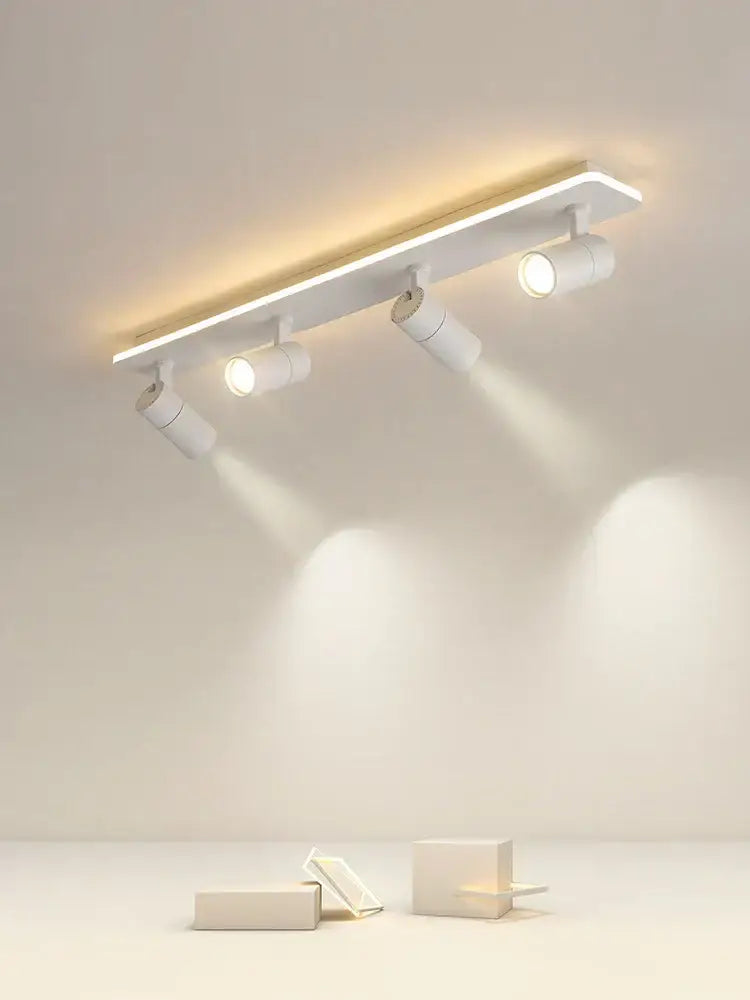 Black LED Ceiling Track Light