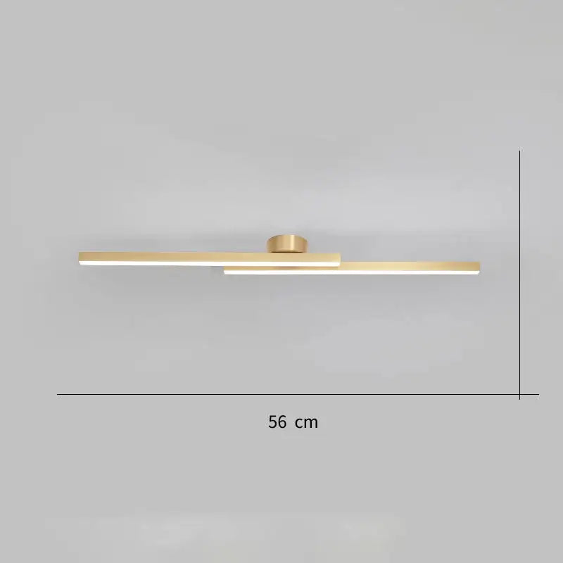 Black Contemporary Ceiling Light