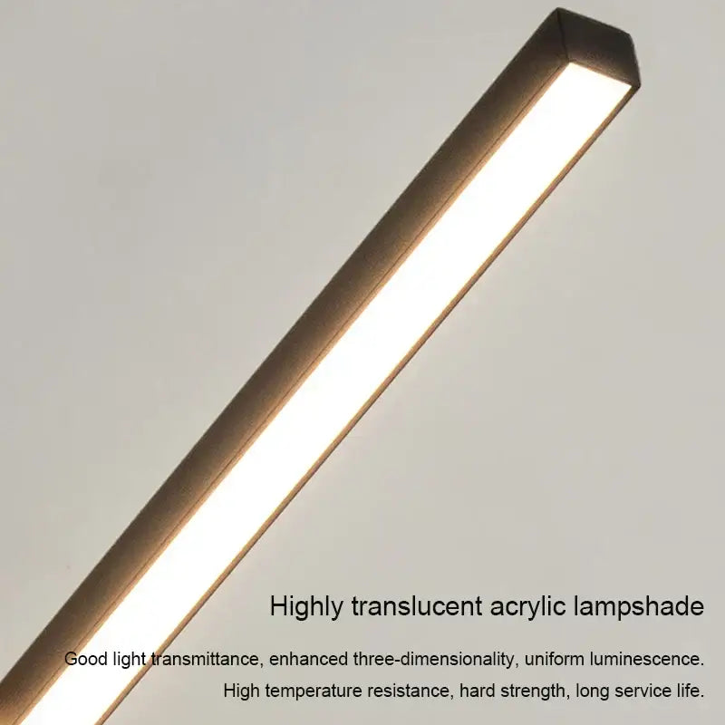 Black Contemporary Ceiling Light