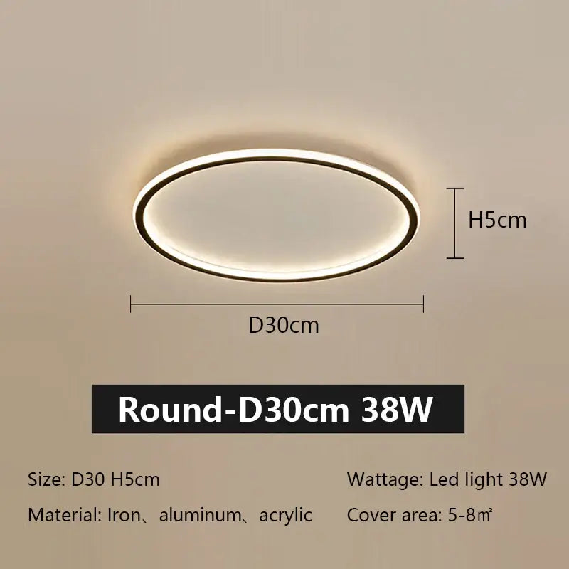 Black Dimmable Ceiling Lamp