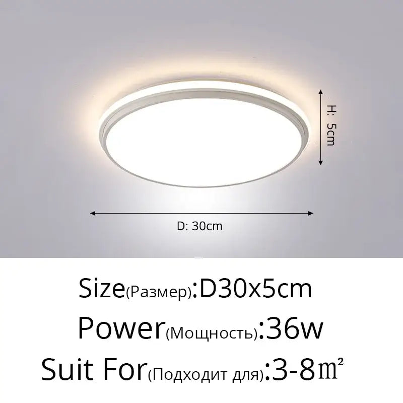Black LED Ceiling Lamp