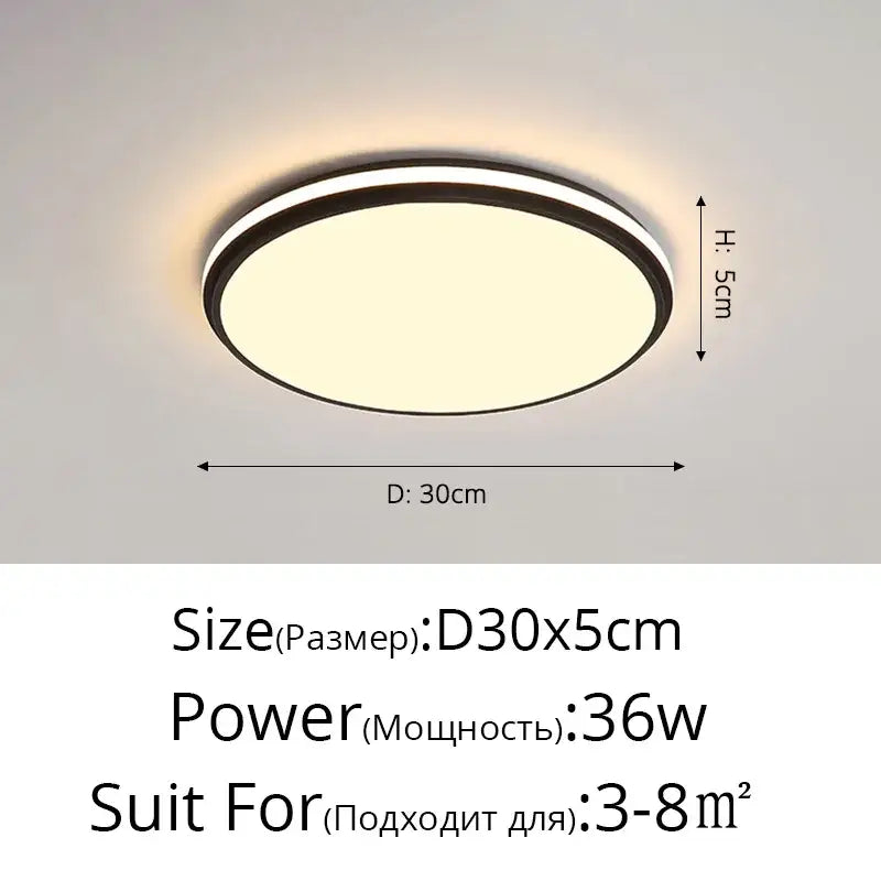 Black LED Ceiling Lamp
