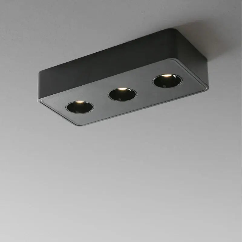 Black White LED Ceiling Light