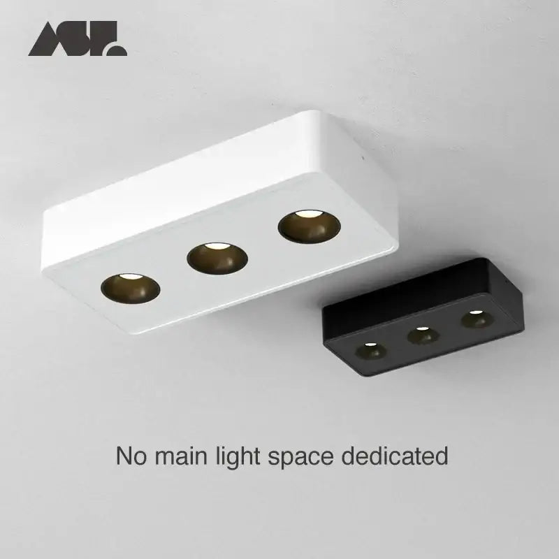 Black White LED Ceiling Light