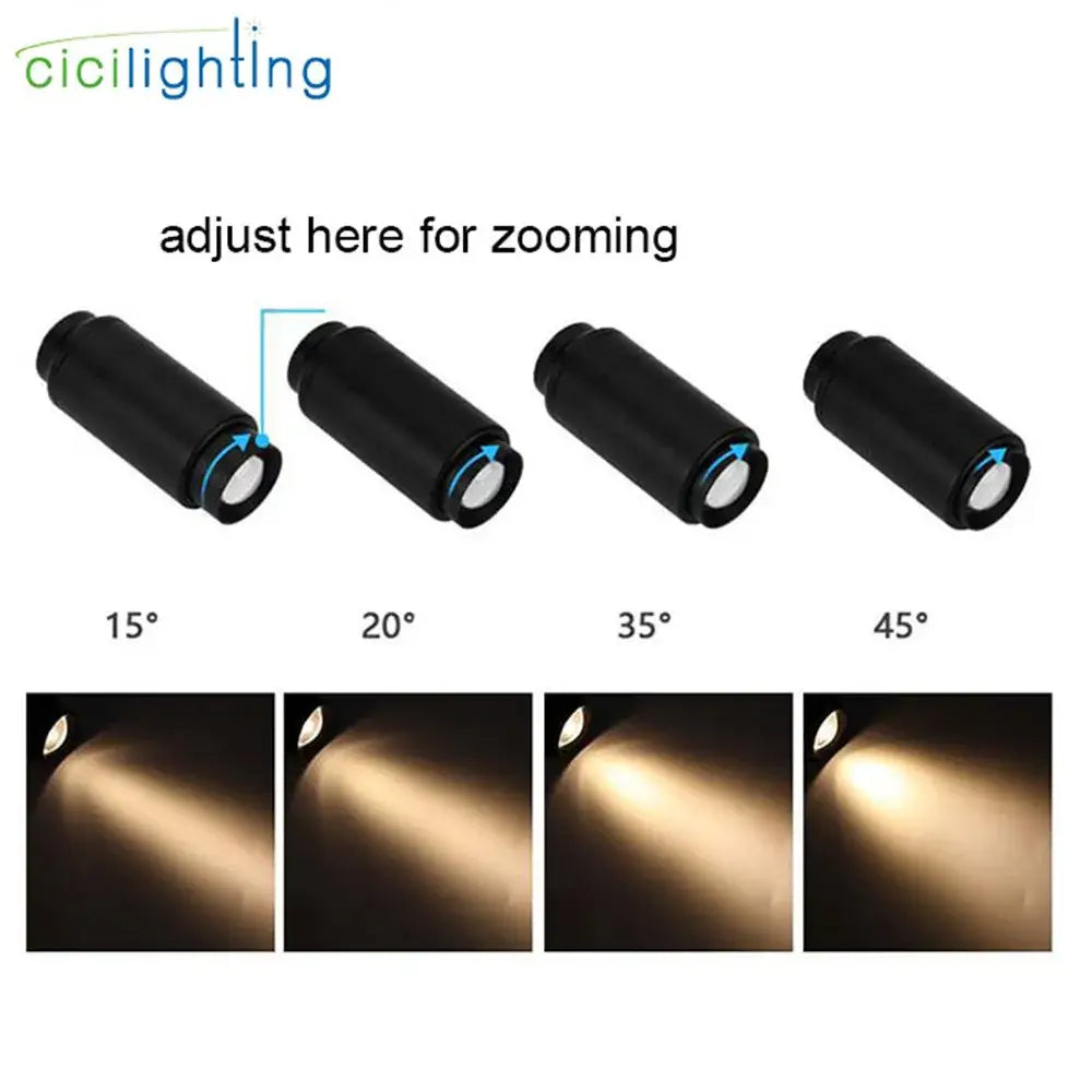 Black Track Spotlight