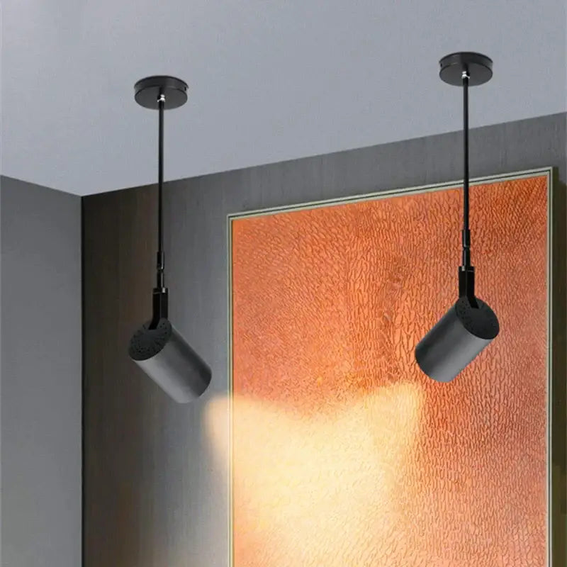Black Adjustable LED Track Light