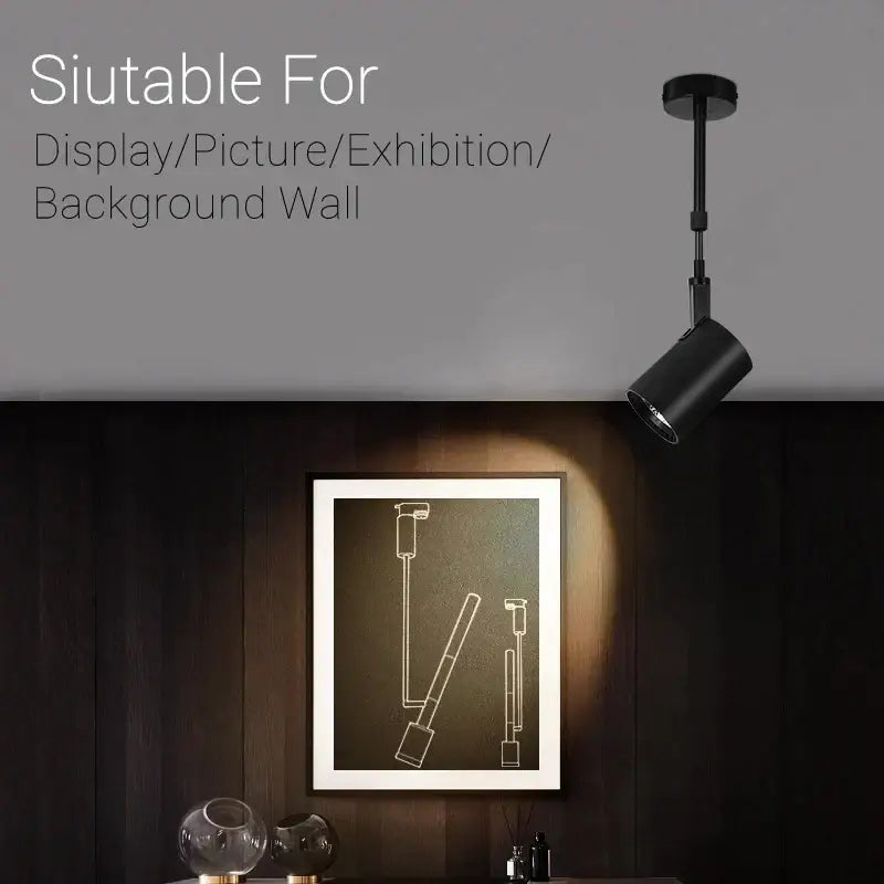Black Adjustable LED Track Light