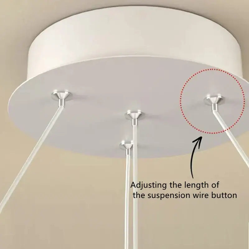 Iron Ball Pendant Light