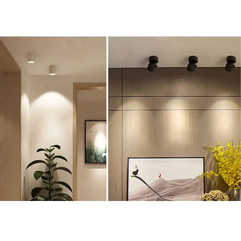 White COB Ceiling Spot Light