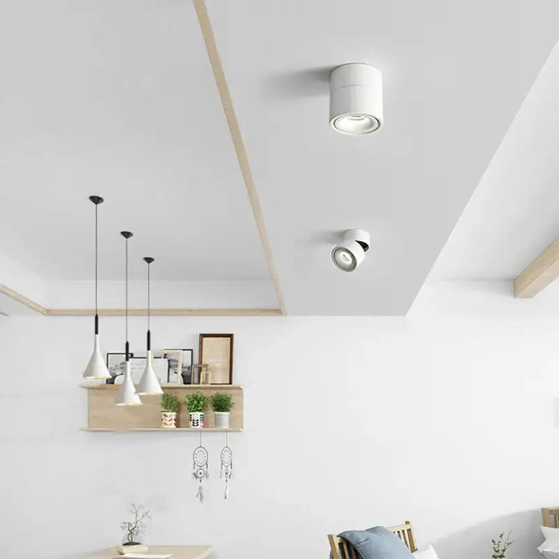White COB Ceiling Spot Light