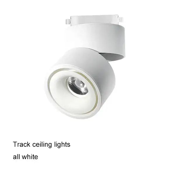 White COB Ceiling Spot Light